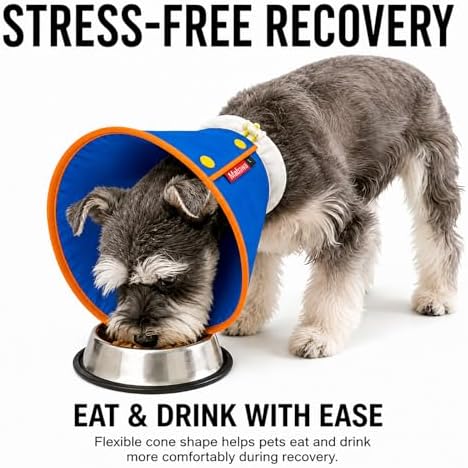 Soft Dog Cone Collar for Dogs & Cats, Adjustable Elizabethan Recovery Collar, Lightweight EPE Material, Post-Surgery Wound Protection (Blue, M) - Image 2