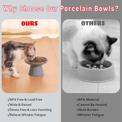 Extra Wide 6.1" Ceramic Raised Cat Food Bowl, Shallow Elevated Pet Feeder for Food Feeding, Anti Vomiting Whisker Fatigue Bowls for Cat Puppy, Blue - Image 6