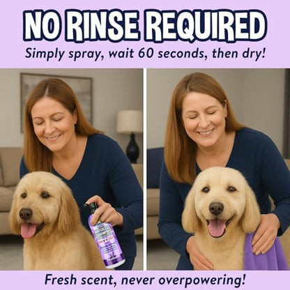 Bodhi Dog Waterless Shampoo - Natural Dry Shampoo for Dogs & Cats - Neutralizes Pet Odor - No Rinse Required - Made of Natural Extracts - Safe for Sensitive Skin - Made in USA - Lavender (8 Fl Oz) - Image 2