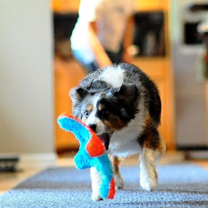 Chuckit! Indoor Fetch Squirrel Toy for Dogs, Orange and Blue - Image 6