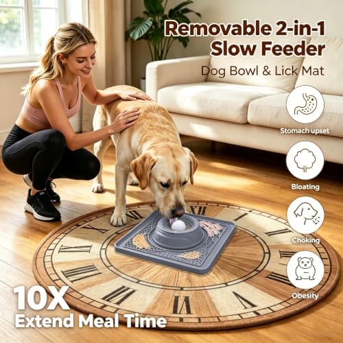 Slow Feeder Dog Bowls & Lick Mat for Liquid and Thick Treat(Grey) - Image 2