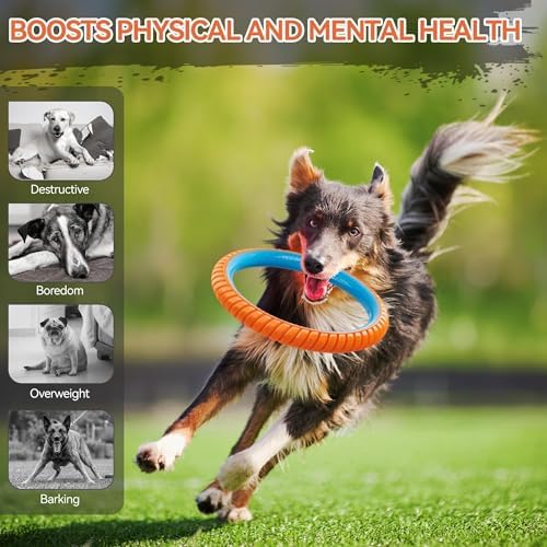 ALL FOR PAWS 10.8" Durable Dog Ring Toy, Interactive Dog Toy for Fetch & Tug of War, Chew-Resistant Rubber Toy for Medium to Large Dogs, Outdoor Toy for Training & Exercise - Image 6