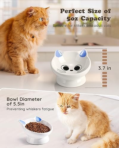 Raised Cat Food Bowl Ceramic 15° Tilted Cat Food Bowls Protect Cat's Spine Anti Vomiting Backflow Prevention Bowls for Adult Cats, Kitten, and Small Dogs, Blue - Image 5