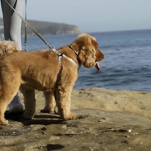 2 Hounds Freedom No Pull 1 Inch Training Leash ONLY Works with No Pull Harnesses (Light Pink) - Image 3