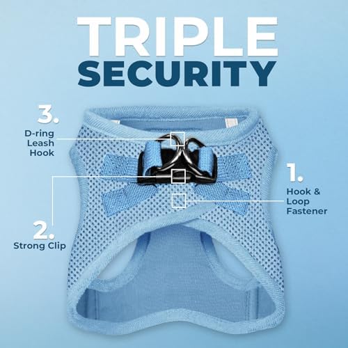 Best Pet Supplies Voyager Step-in Air All Weather Mesh Harness and Reflective Dog 5ft Leash Combo with Neoprene Handle, for Small, Medium and Large Breed Puppies - Baby Blue, Large - Image 2