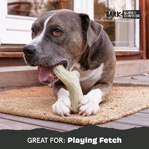 BarkBox Big Game Antler Super Chewer - Toy for Large Dogs - Image 5