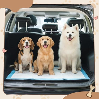 Dunzy 50" x 30" Silicone Pee Pad Holder Tray Extra Large Puppy Pee Pad Holder, Raised Edges, Non Slip Leak-Proof Urine Potty Tray for Indoor Flooring Protection Training - Image 6