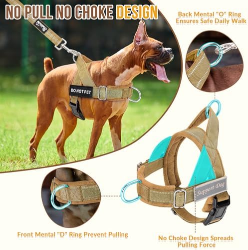 SlowTon No Pull Dog Harness and Leash Set - Heavy Duty, Soft Padded - Image 2