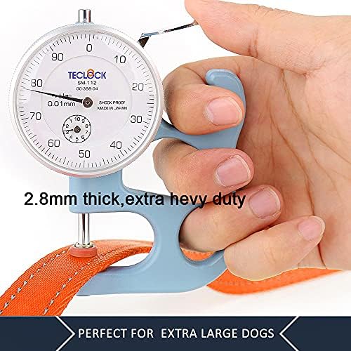Plutus Pet Double Handle Dog Leash, 6 FT Long, for Medium Large Dogs - Image 5