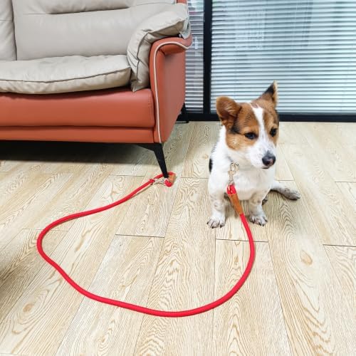 6 Foot Dog Tie Out Rope Leash, 1/2-In Indoor Training Tie Down - Image 5