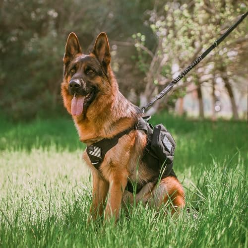 Forestpaw Tactical Dog Leash for Large Dogs, Black, 4-5FT - Image 4