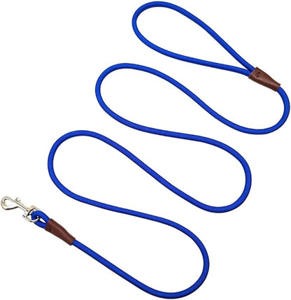 Small Dog Leash, 1/4" by 6/8/10 FT Lightweight Strong Nylon Rope Leash, Bright Classic Lead for Small Pets/Puppy/Cat (10ft, Dark Blue)
