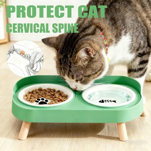 Elevated Cat Bowls, 2 Ceramic Raised Cat Food and Water Bowl Set, Prevent Cat Chin Acne, Whisker Fatigue Friendly, Splash Proof & Dishwasher Safe for Indoor Cats and Small Dogs - Green - Image 2
