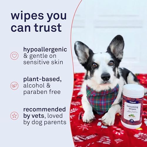 Petpost Large Grooming Wipes for Dogs | 70 Count Deodorizing Dog Cleaning Wipes with Coconut Extract & Aloe | Gentle Pet Wipes with Cherry Blossom Scent for Full-Body Grooming - Image 4