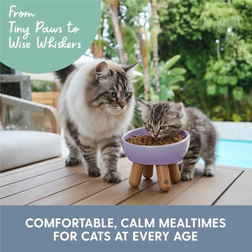 The Cat Ladies Tilted Ceramic Cat Bowl - Elevated Food Bowls Ceramic Pet Bowl - Raised Ceramics Bowls - Elevated & Tilted Design for Comfortable Eating - Dishwasher Safe - Wide Opening - Image 6