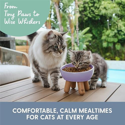 The Cat Ladies Tilted Ceramic Cat Bowl - Elevated Food Bowls Ceramic Pet Bowl - Raised Ceramics Bowls - Elevated & Tilted Design for Comfortable Eating - Dishwasher Safe - Wide Opening - Image 6