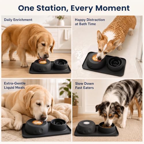 Silicone 2-in-1 Dog Slow Feeder & Lick Bowl Station,Black - Image 5