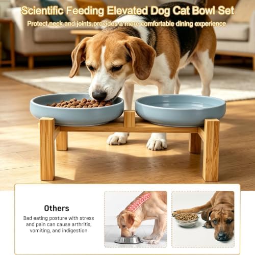 Shallow Elevated Cat Bowls with Bamboo Stand, 6.1 Inch Wide Ceramic Cat Dish Whisker Friendly, 2 Pack Pet Food and Water Plates - Image 4