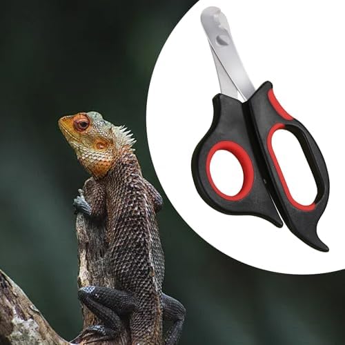 Bearded Dragon Nail Clippers with Precise Angled Edges - Image 5