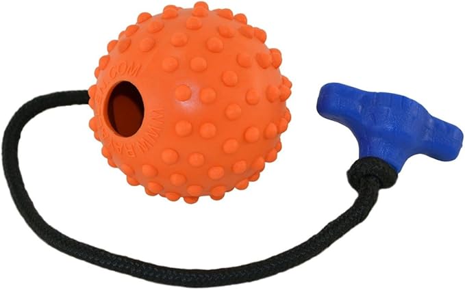 Ray Allen Ball On Rope Toy - Professional Quality Dog Training (Orange w/T-Handle, 2.5")