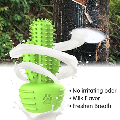 Pamlulu Dog Chew Toys & Teeth Cleaning Brush - Dental for Small, Medium & Large Dogs, Rubber Squeaky Toys for Aggressive Chewers, Cactus Tough Toys - Image 2