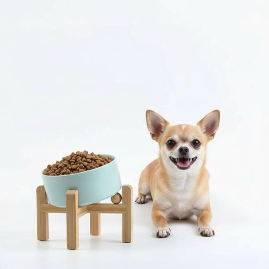 Petygooing Raised/Elevated 15°Slanted Ceramic Dog Bowl for Small Breeds,Tilted Anti Slip Pet Bowl,Food Water Dish with Stand for Cats and Small Dogs Puppy 13.5 OZ (5.1In / 1.7 Cups) Blue Sky