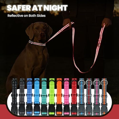 VIVAGLORY Double Handle Dog Leash Twingrip, 5ft x 1in, M, Red Grey - Image 5