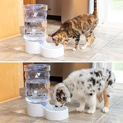 PetFusion H2O Gravity Pet Water Dispenser, 2.5 Gallon, Transparent - Image 4