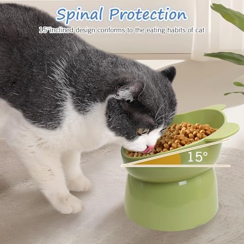 Fhiny 4 Pcs Elevated Raised Cat Bowls, Removable Cats Bowl Tilted Kitten Food and Water Bowl Set Cute Plastic Puppy Food Dishes Pet Feeder for Cats and Small Dogs-Bear - Image 4