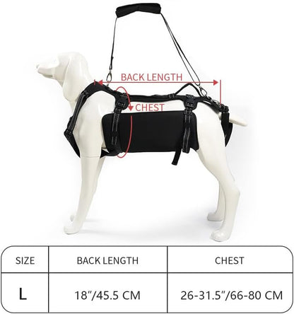 Coodeo Dog Lift Harness, Support & Recovery Sling, Pet Rehabilitation Lifts Vest Adjustable Breathable Straps for Old, Disabled, Joint Injuries, Arthritis, Paralysis Dogs Walk (Black,L) - Image 5