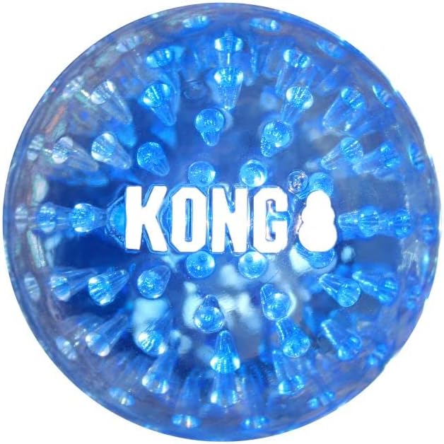 KONG Company 38749422: Squeezz Geodz Squeaker Ball Dog Toy, Lg