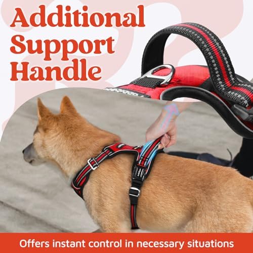 rabbitgoo Dog Harness Medium Sized, No Pull 3 Buckles Easy On & Off - Image 4