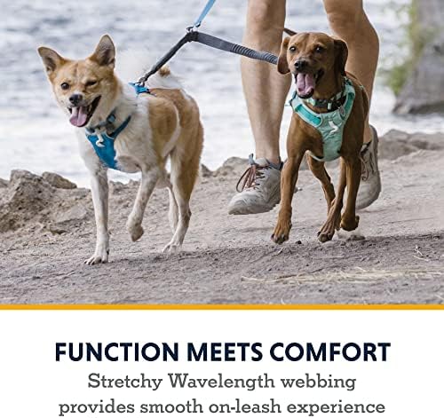 Ruffwear, Double Track Coupler, Double Leash for Two Dogs, Basalt Gray - Image 4