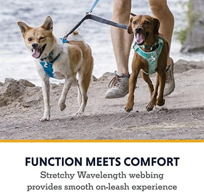 Ruffwear, Double Track Coupler, Double Leash for Two Dogs, Basalt Gray - Image 4