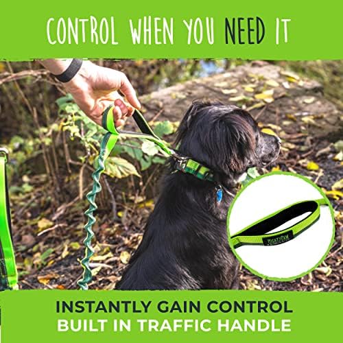 Mighty Paw Hands Free Dog Leash | Bungee Waist Leash for Dog Walking. Pet Running Hands Free Tether for Large, Medium & Small Breeds. Pet Waist Belt (36" - 48") Up to 150 lbs - Green - Image 4