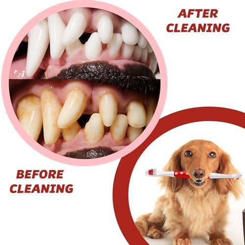 Pet Toothbrush for Dogs, Cats with Soft Bristles - Easy Teeth Cleaning & Dental Care, Non Slip Dual Head Dog Toothbrush for Medium & Large Pets, Toothpaste Not Included, Pack of 1 Red - Image 3