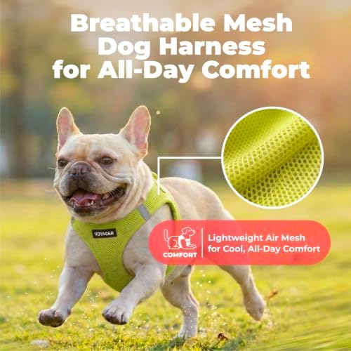 Best Pet Supplies Voyager Step-in Air Harness - All Weather Mesh, Reflective, No Pull Harness for Dogs, Cats - Secure with Hook & Loop Fastener, Buckle, Double D-Rings - Lime Green, XS - Image 5