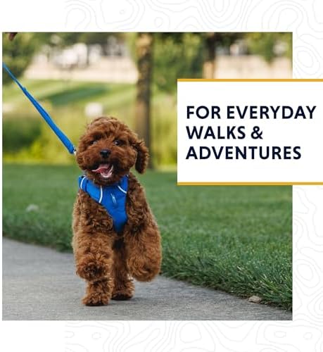 Ruffwear, Front Range Dog Leash, 5 ft Lead, Red Canyon - Image 2