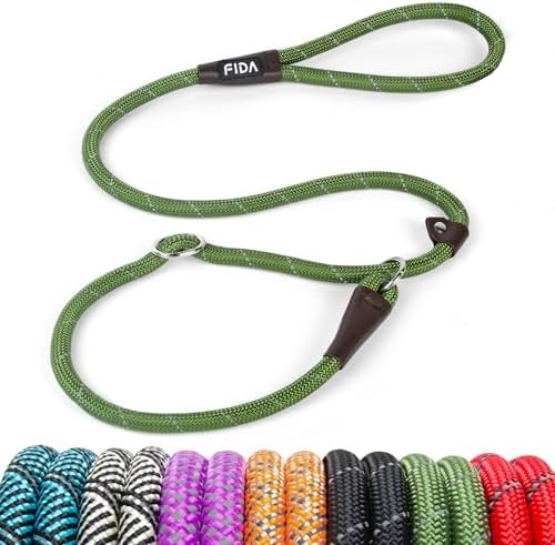 Fida Durable Slip Lead Dog Leash, 4 FT x 1/2" Dog Training Leash, Green by Fida