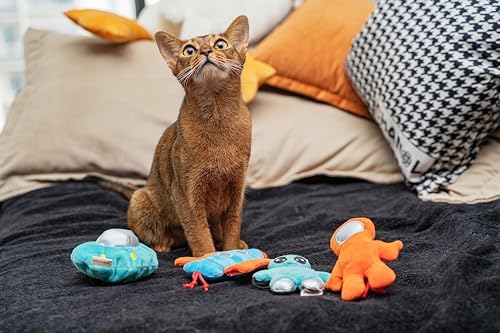 Interactive Catnip Cat Plush Toy, Space Travel Theme, 5‘’, for All Breed Size Cats (4 in 1) - Image 6