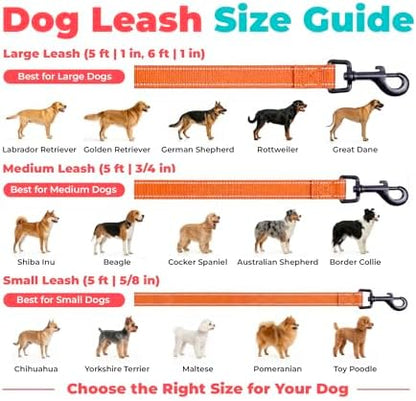 Best Pet Supplies Voyager Nylon Dog Leash - Orange, Large - Image 6