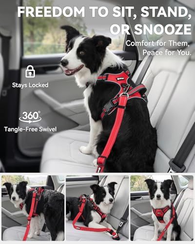 Joytale 3-in-1 Bungee Dog Seat Belt for Car, Medium and Large Dogs, Red - Image 5