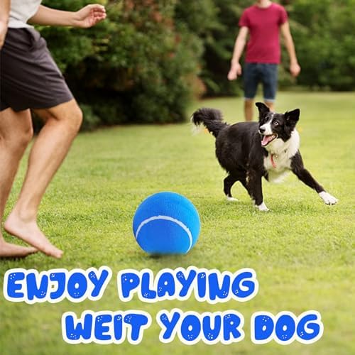 Banfeng Big Tennis Ball for Dogs, Giant Dog Tennis Ball Toy Large Outdoor Sports Gift for Small Medium Large Dog (Blue, 9.5 inch) - Image 6