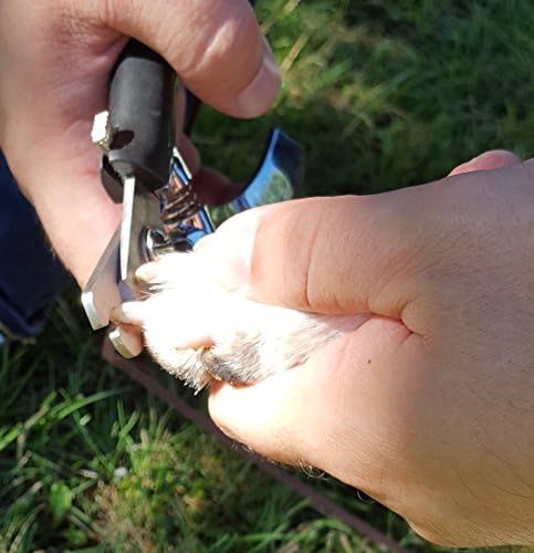 Resco Dog Nail Clippers with SuperCut Technology - Image 4