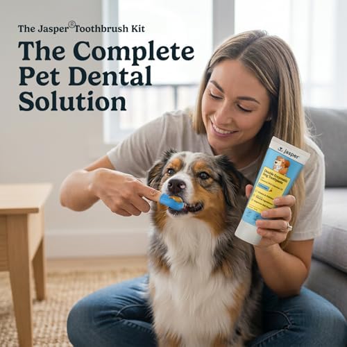 Jasper Dog Tooth Brushing Kit and Dog Toothpaste (Chicken) Kit 360 - Image 2
