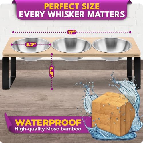 Raised cat Bowls for Indoor Cats by WinTruffles, Elevated cat Bowls, Tilted and Elevated Anti Vomiting Cat Dishes for Food and Water, Set of 3 Stainless Steel Bowl - Image 6