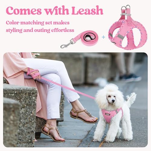 rabbitgoo Dog Harness Medium Sized and Leash Set, Step-in Puppy Pet Vest - Image 5