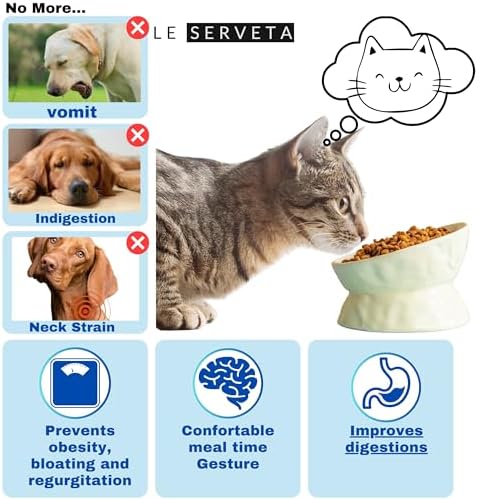 Ceramic Raised Cat Bowl, Elevated Pet Food Bowl for Small Dog, Cute Cat Dish Tilted, Whisker Fatigue, Wrinkle Texture (Yellow) - Image 4