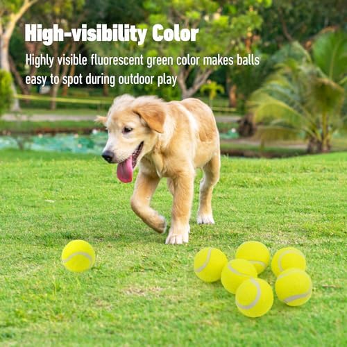 Pet Prime Dog Toy Tennis Ball 6 Pcak 2.5 Inch for Max Automatic Ball Lanucher Interactive Pet Balls for Exercise Training Play Fetch - Image 4