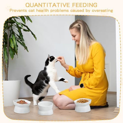 4 Pieces Plastic Tilted Elevated Cat Bowls Raised Cat Food Bowls Elevated Feeding Dish for Flat Faced Kitten Kitty Pets Supplies(White) - Image 6
